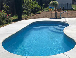 Kidney Shaped Swimming Pools Manufacturer in Ghaziabad